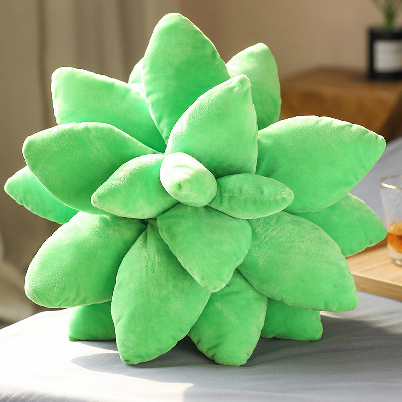 green succulents pillow