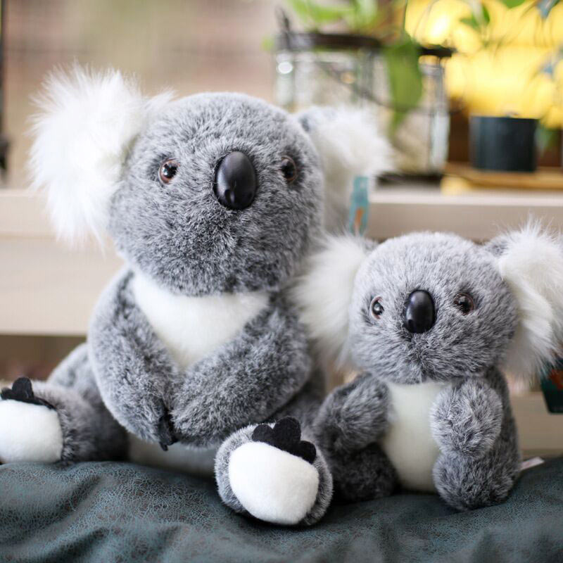 koala stuffed animal