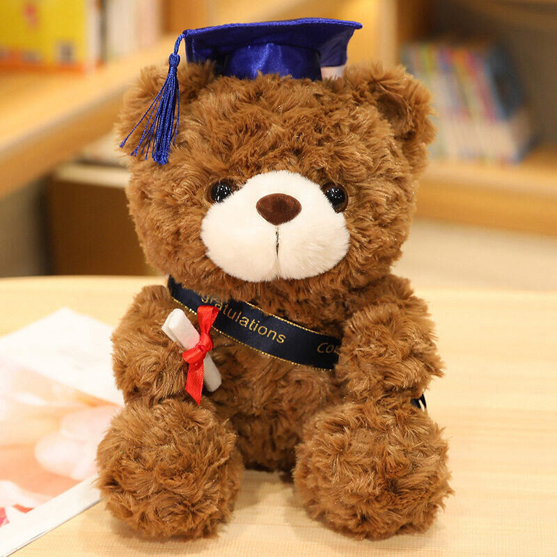 graduation teddy bear in doctor cap