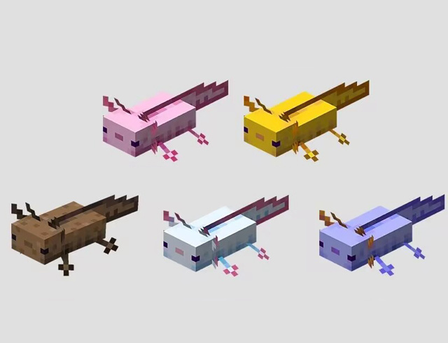 minecraft axolotls color variations